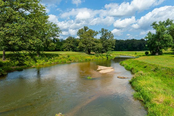Petit bambou : notre avis et ses atouts en méditation
