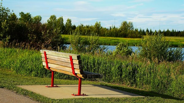 Découvrez comment l'astrologie peut transformer votre destin