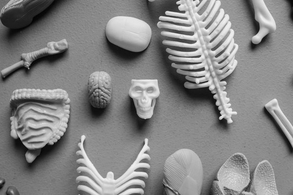 Régime Paléo : les erreurs à éviter